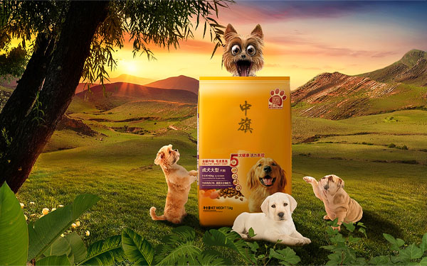 狗糧也要選一些大品牌，最起碼對(duì)咱們家的狗狗健康重要.jpg