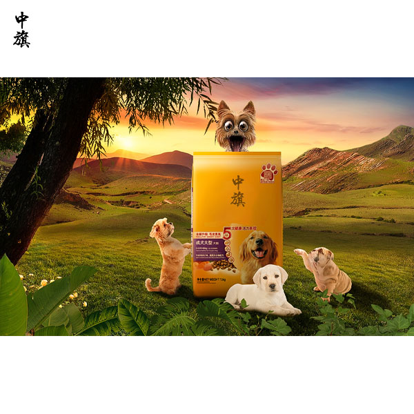 明星代言寵物糧，需要注意哪些法律問題？