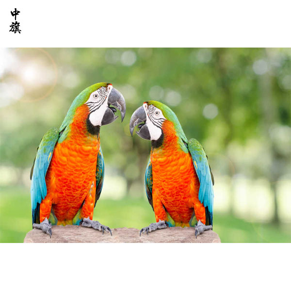 北京開一家寵物店需要辦理衛(wèi)生許可證么？