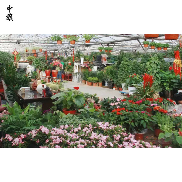 在北京開一家花鳥魚市場前景怎么樣？