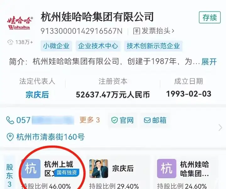 杭州娃哈哈集團(tuán)有限公司占股比例.png 杭州娃哈哈集團(tuán)有限公司占股比例.png