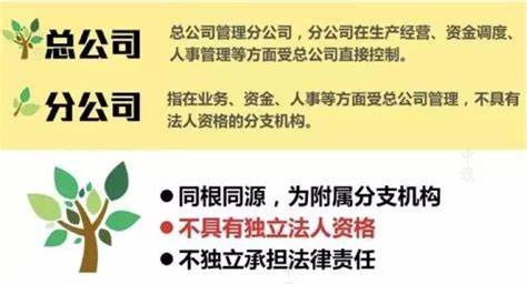 總公司和分公司的財產(chǎn)關(guān)系.jpg