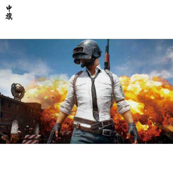 什么是游戲版號？格式是什么？