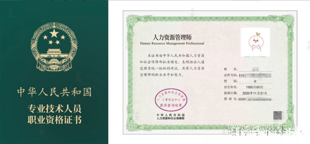 專業(yè)技術人員職業(yè)資格證書