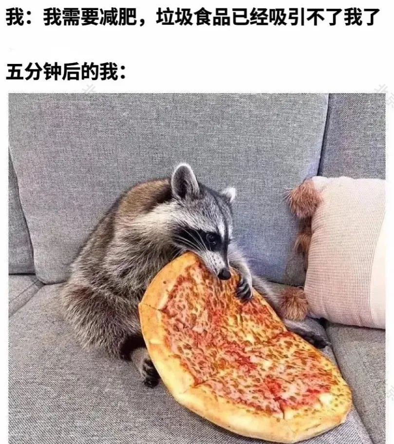 我要減肥，我要減肥，我要減肥啊.jpg