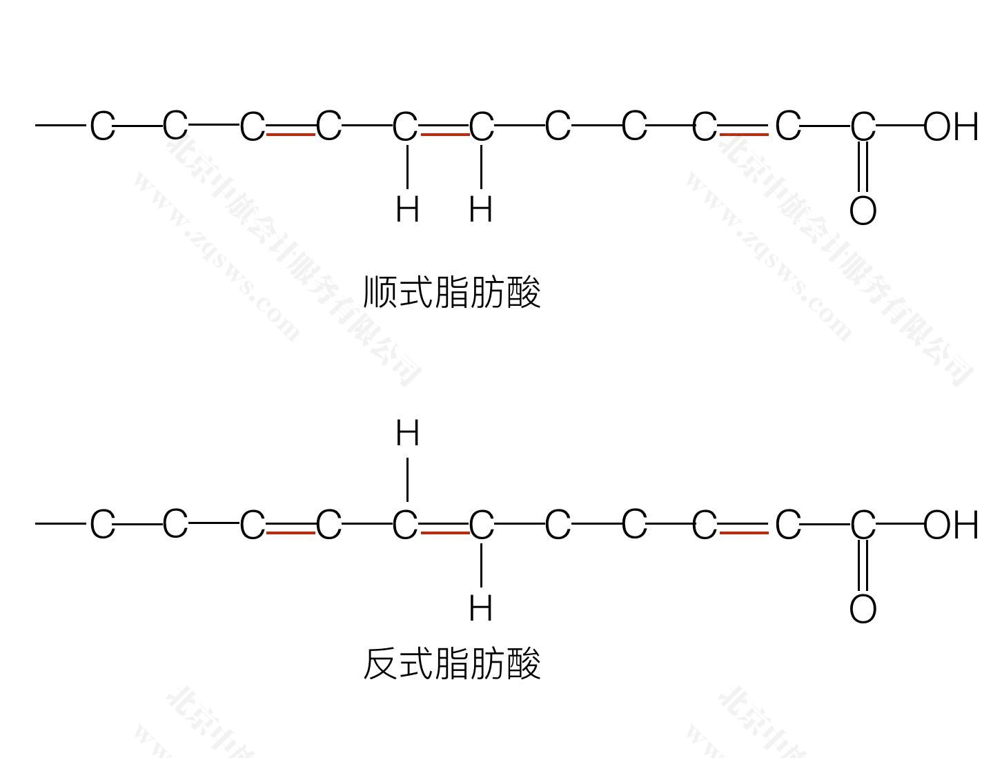 什么是反式脂肪酸？.jpg
