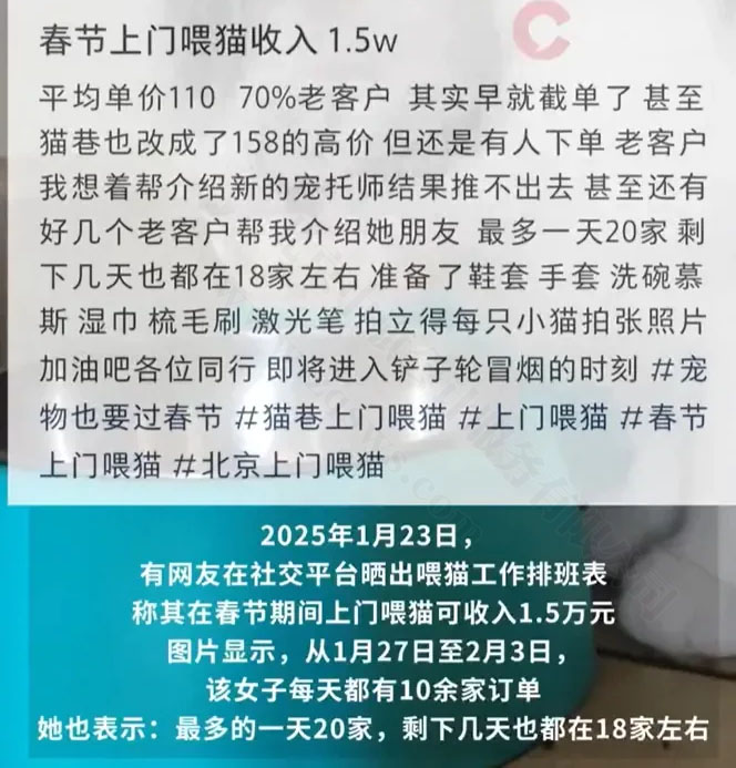 春節(jié)期間上門(mén)喂貓.jpg