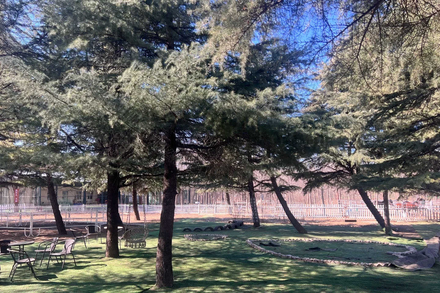 北京馬術館內景，看著非常哇塞.jpg