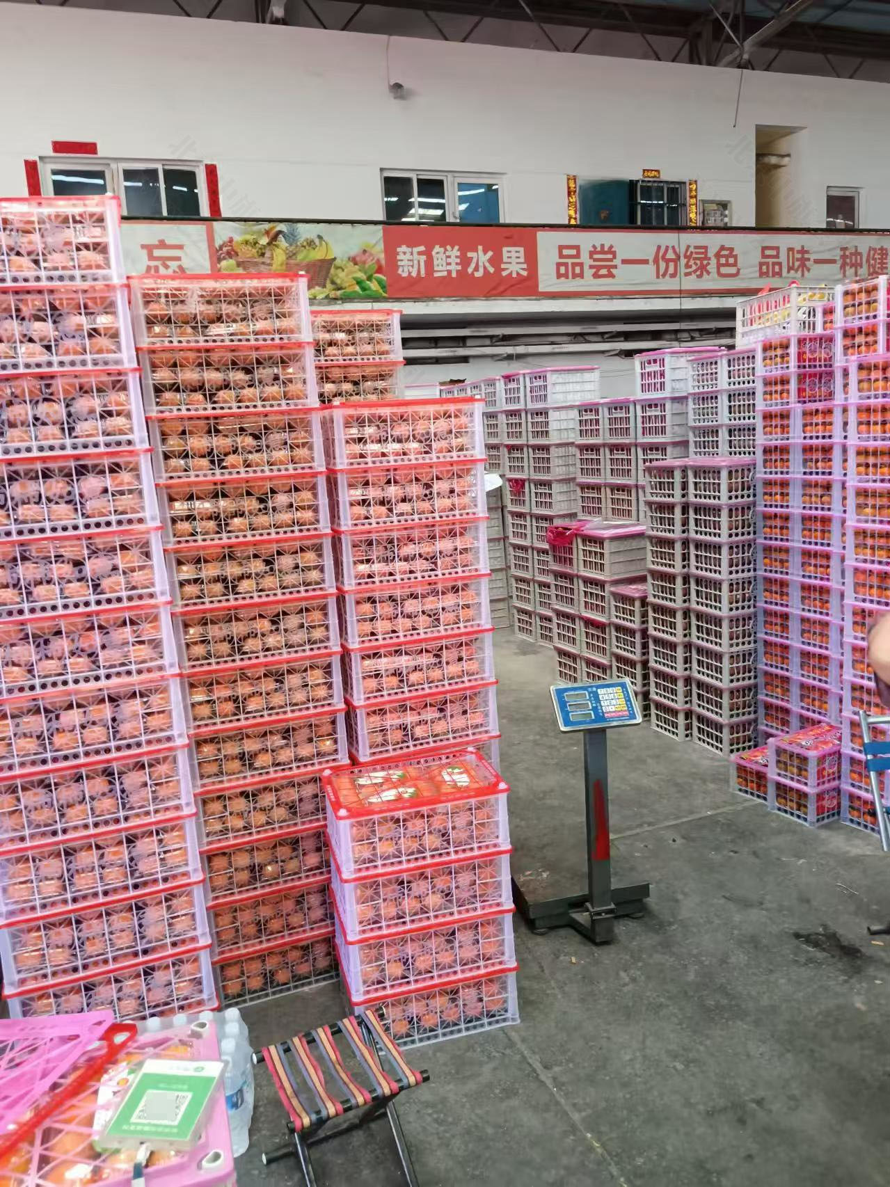 在進貨的時候全是雞蛋價格要比超市便宜多了.jpg 在進貨的時候全是雞蛋價格要比超市便宜多了.jpg