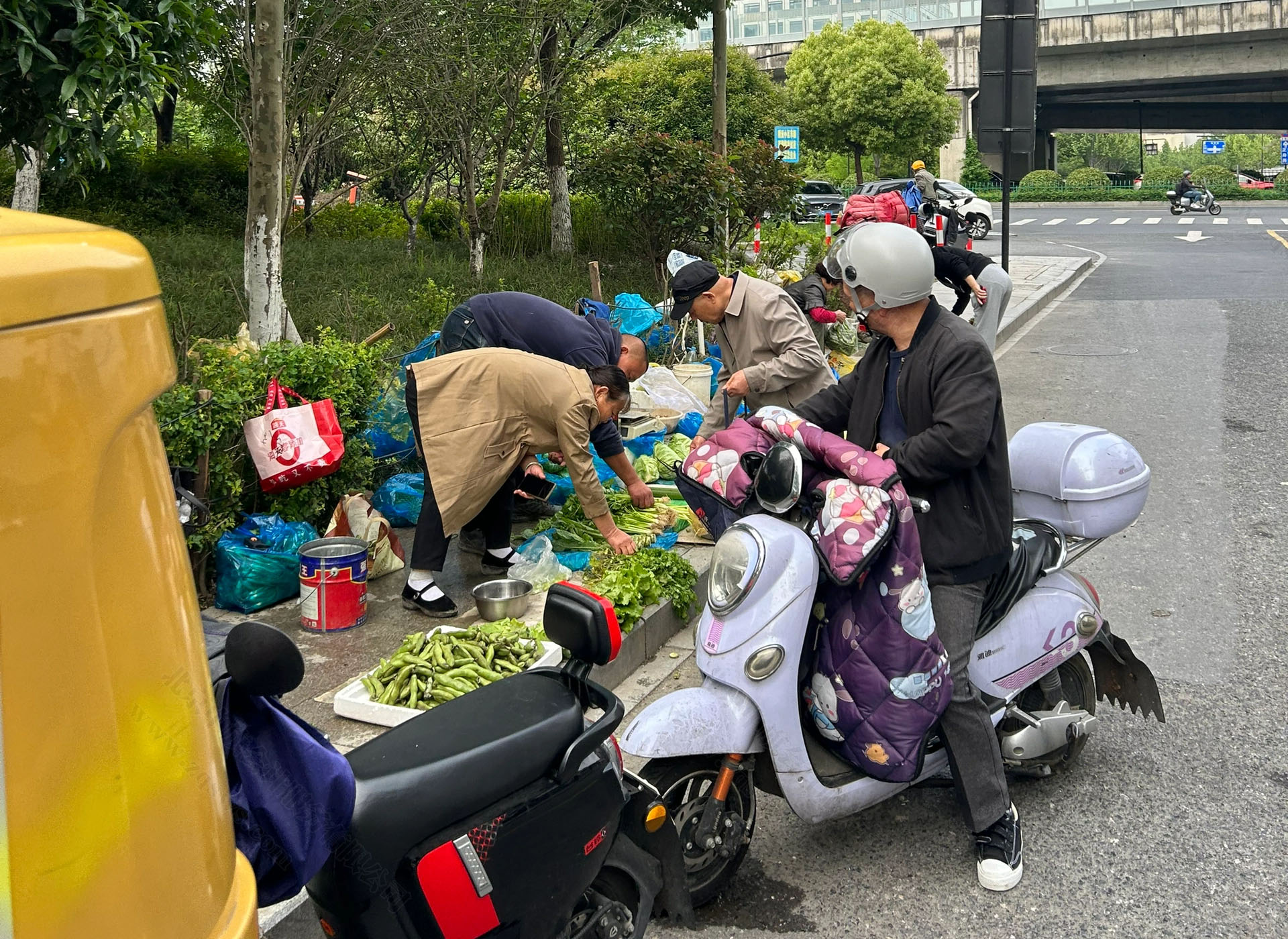 李阿姨現(xiàn)在每天都在街上賣(mài)菜.jpg 李阿姨現(xiàn)在每天都在街上賣(mài)菜.jpg