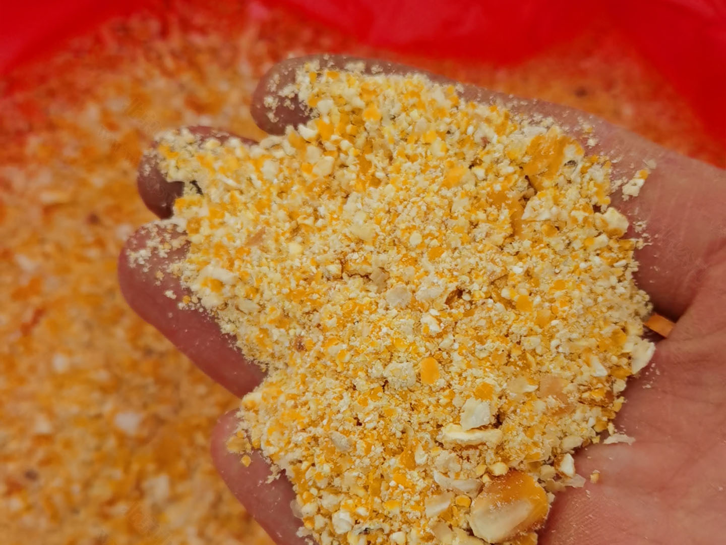 苞米面.jpg 苞米面.jpg