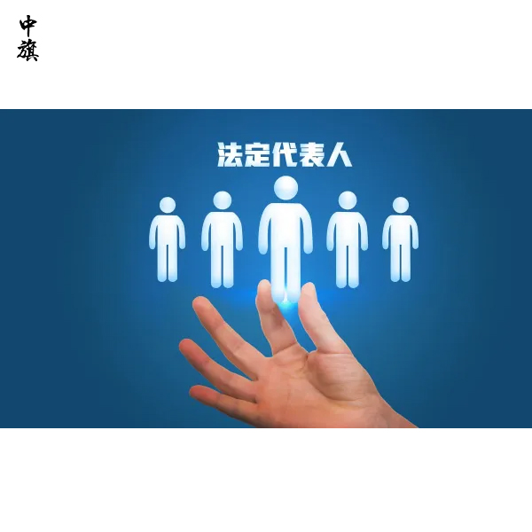 有限公司股份怎么分？