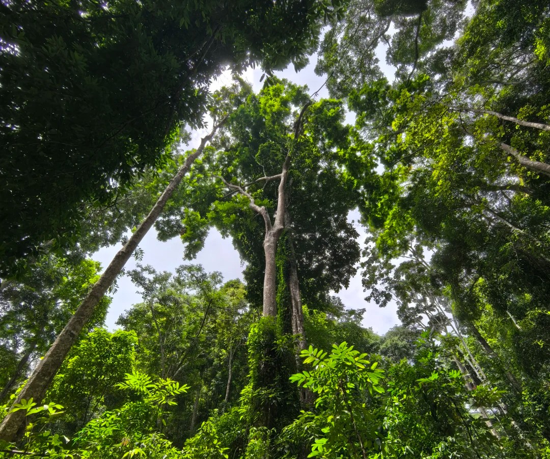云南山里的照片.jpg 云南山里的照片.jpg