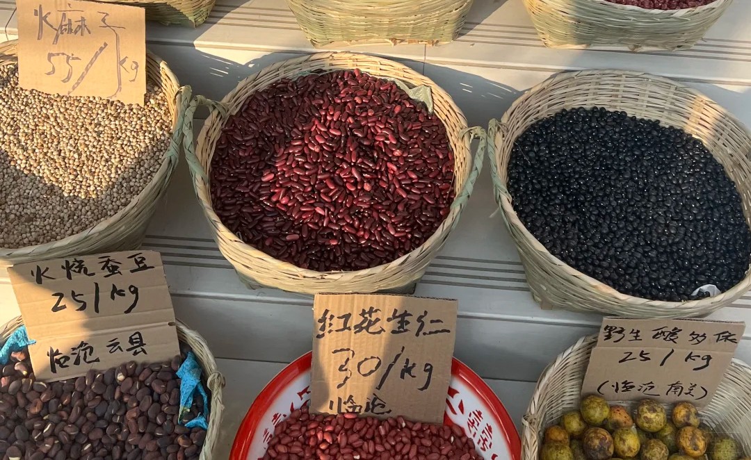 自家賣的種子 自家賣的種子