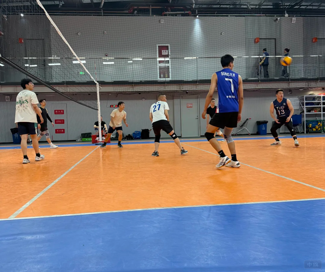 正在打排球的爺們們 正在打排球的爺們們