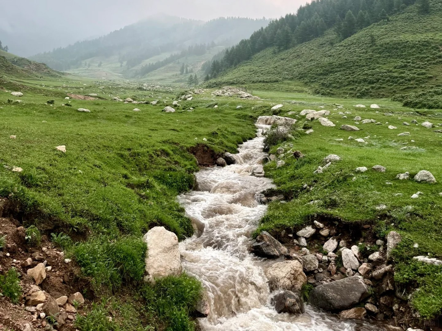 蘆茅山這風(fēng)景不錯(cuò)吧？